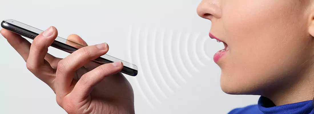 Residential and Commercial Voice Recognition Access Solutions in North Port, FL